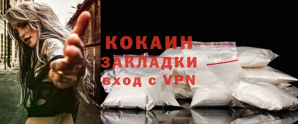 тгк Нея