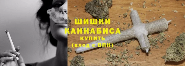 дживик Надым