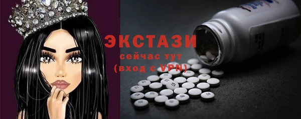 дживик Надым