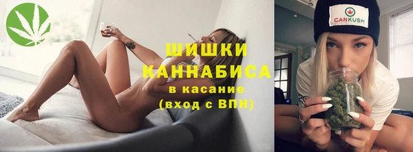 дживик Надым