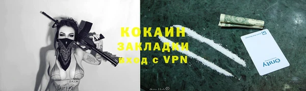дживик Надым