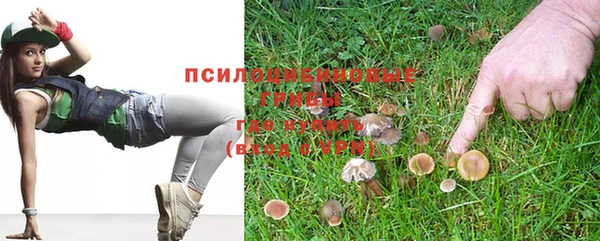 индика Нефтегорск