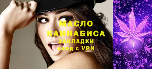 дживик Надым