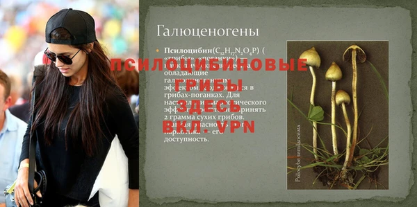 ПСИЛОЦИБИНОВЫЕ ГРИБЫ Наволоки