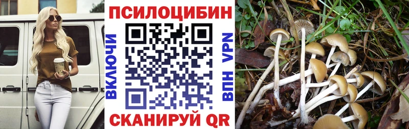 Псилоцибиновые грибы прущие грибы  Карталы 