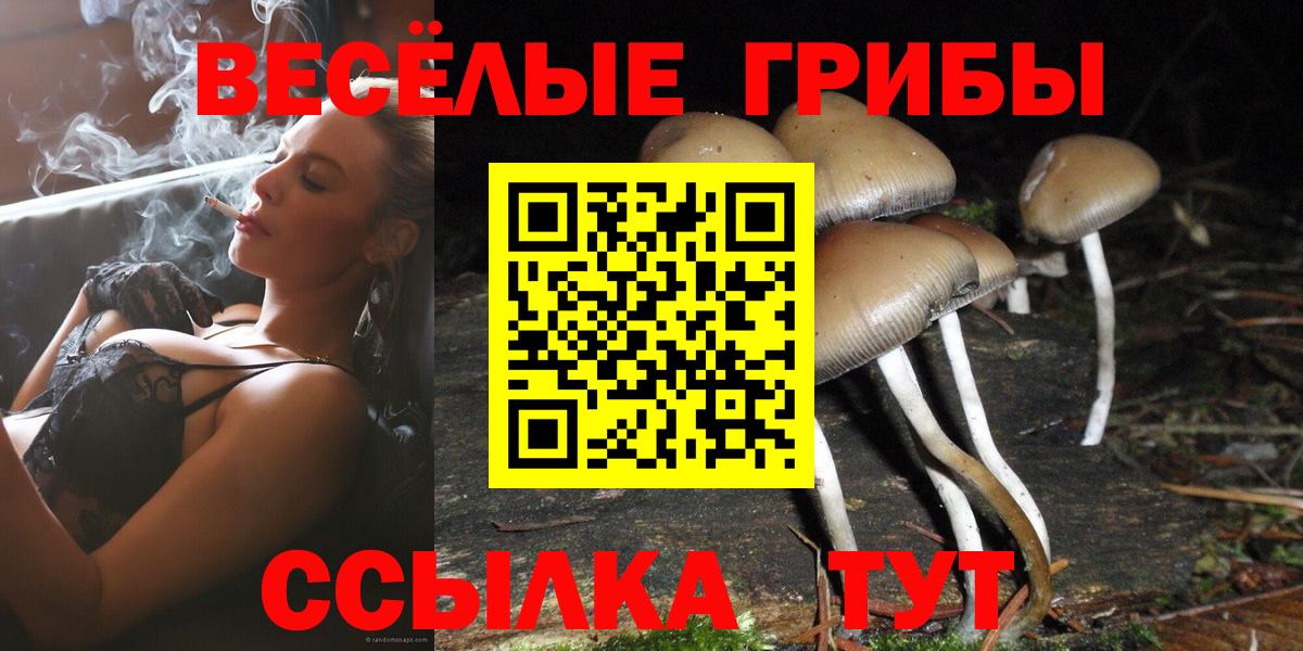 Псилоцибиновые грибы Magic Shrooms Карталы