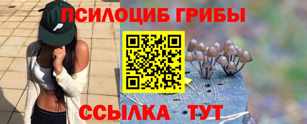 Карталы  Псилоцибиновые грибы Psilocybe  Вход с VPN  Галлюциногенные грибы GOLDEN TEACHER 