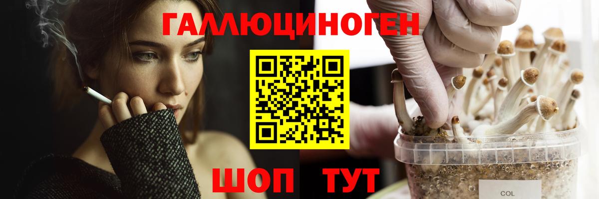Карталы  Вход с VPN  Ляпка  КОКАИН  ГАШИШ  Мяу-Мяу  МАРИХУАНА  МДМА 
