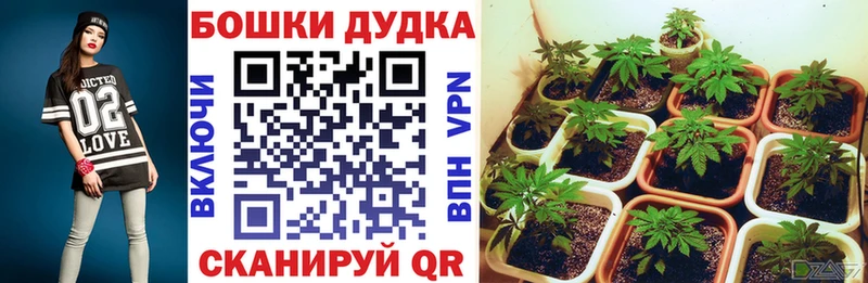 МЕГА маркетплейс  Карталы  Бошки марихуана марихуана 