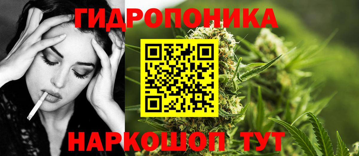 Каннабис SATIVA & INDICA  Конопля Ganja  Карталы  Шишки марихуана Amnesia  Бошки марихуана планчик 